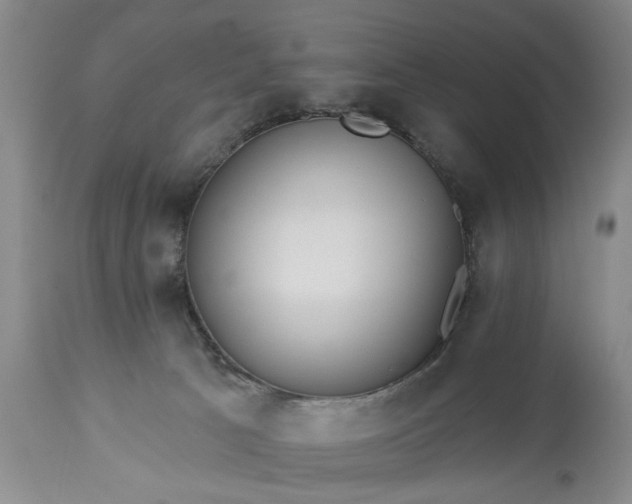 X0000113550033200910021541