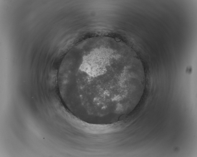 X0000113550034200910021541