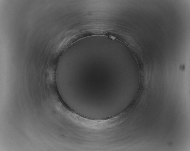 X0000113550035200910021541