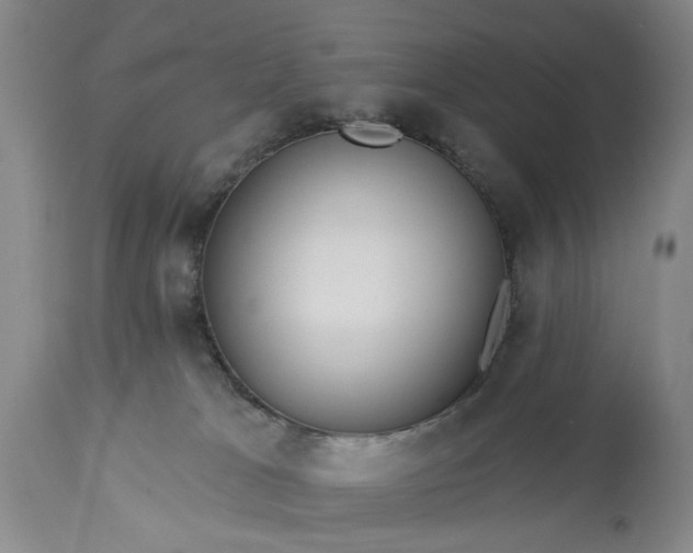 X0000113550037200910021541