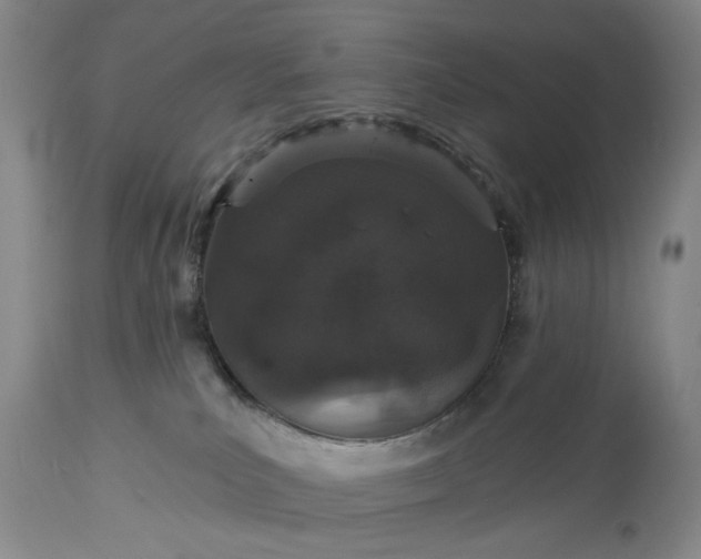 X0000113550039200910021541