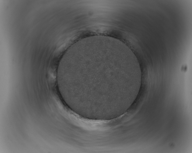 X0000113550040200910021541