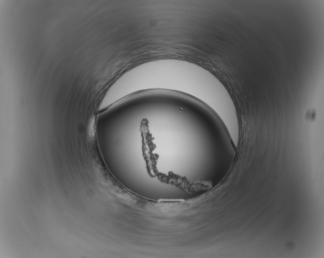 X0000113550041200910021541