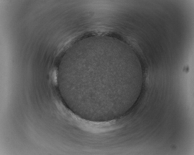 X0000113550042200910021541