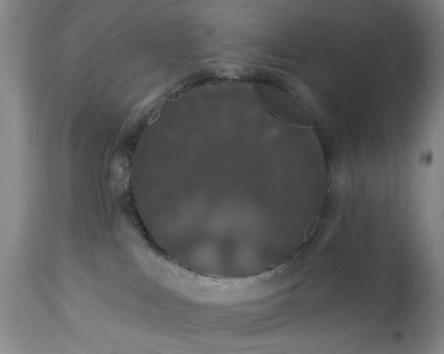 X0000113550043200910021541