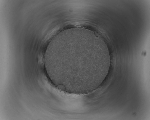 X0000113550044200910021541