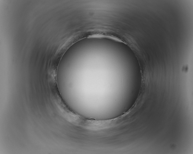 X0000113550045200910021541