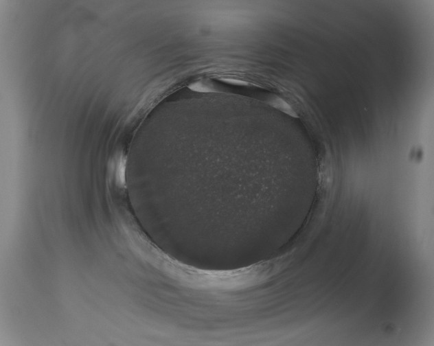 X0000113550046200910021541