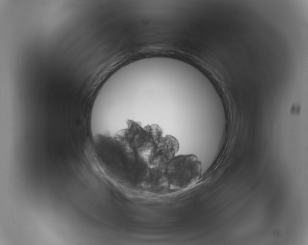 X0000113550048200910021541