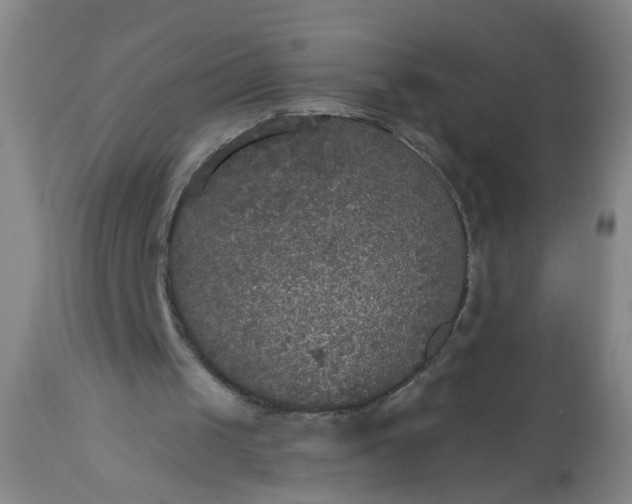 X0000113550049200910021540