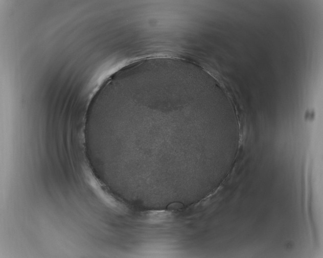 X0000113550050200910021540