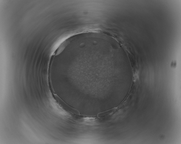 X0000113550052200910021540