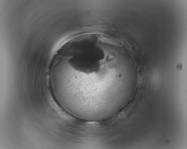 X0000113550053200910021540