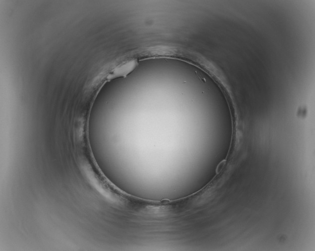 X0000113550057200910021540