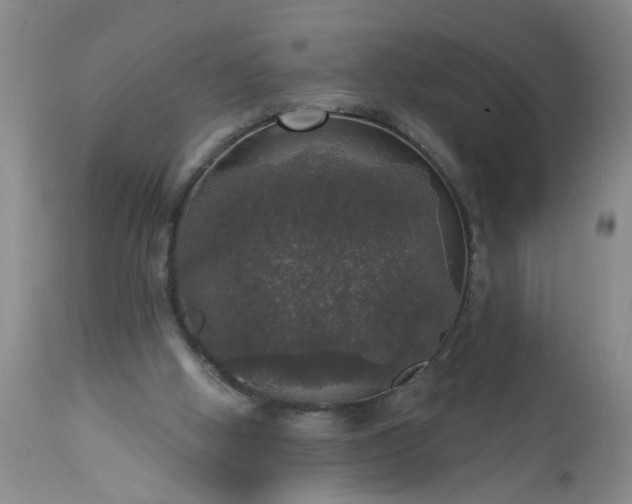 X0000113550058200910021540