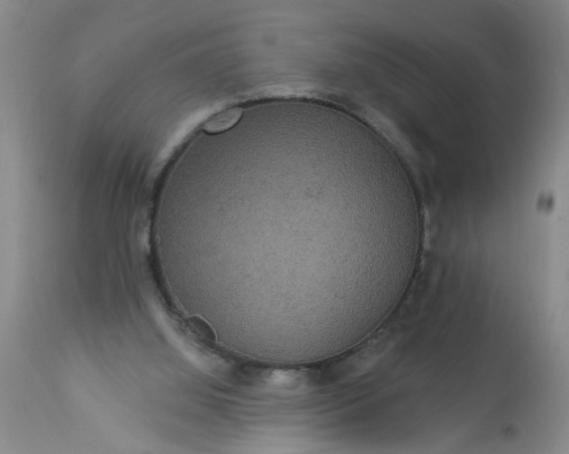 X0000113550060200910021540