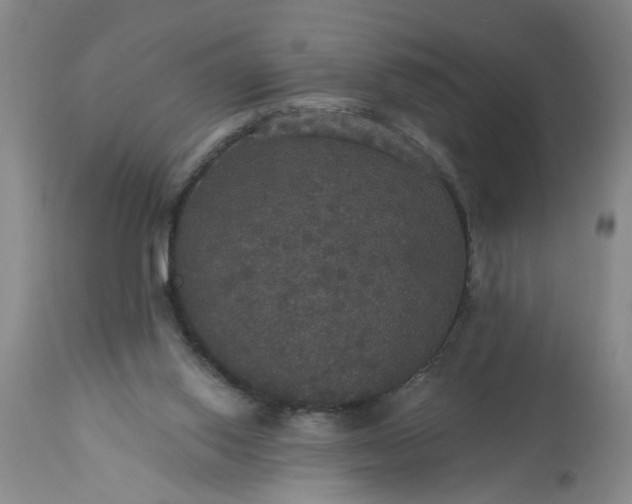 X0000113550062200910021540