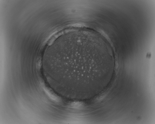 X0000113550063200910021540