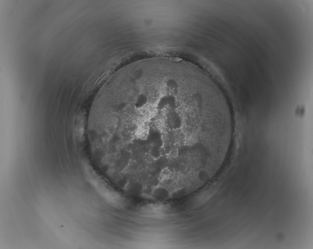 X0000113550065200910021540