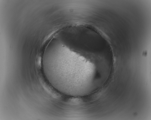 X0000113550067200910021540