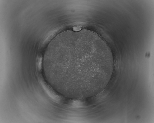 X0000113550070200910021540