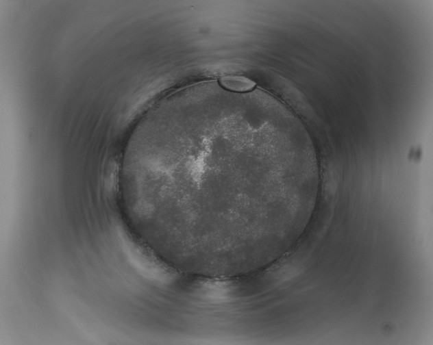 X0000113550071200910021540