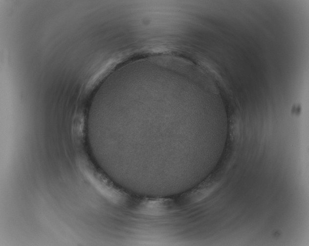 X0000113550072200910021540