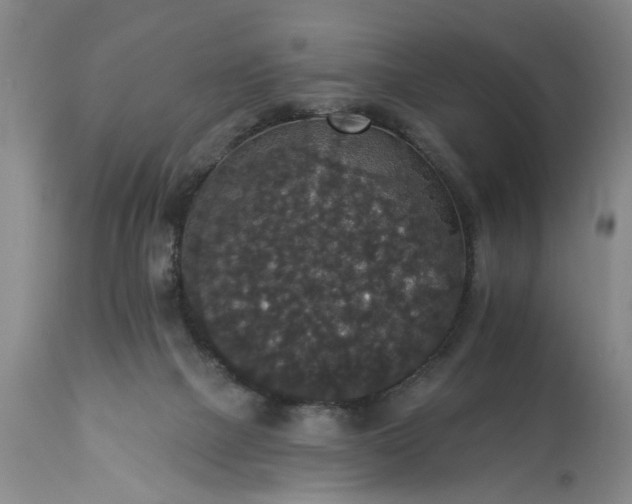 X0000113550073200910021540