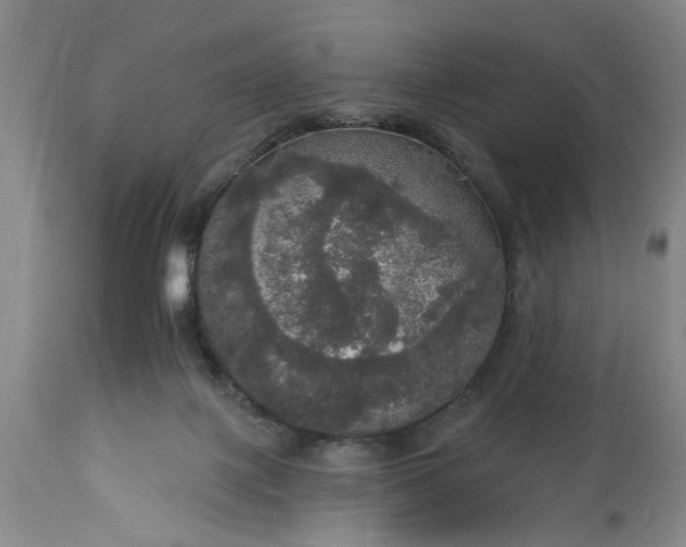 X0000113550075200910021540