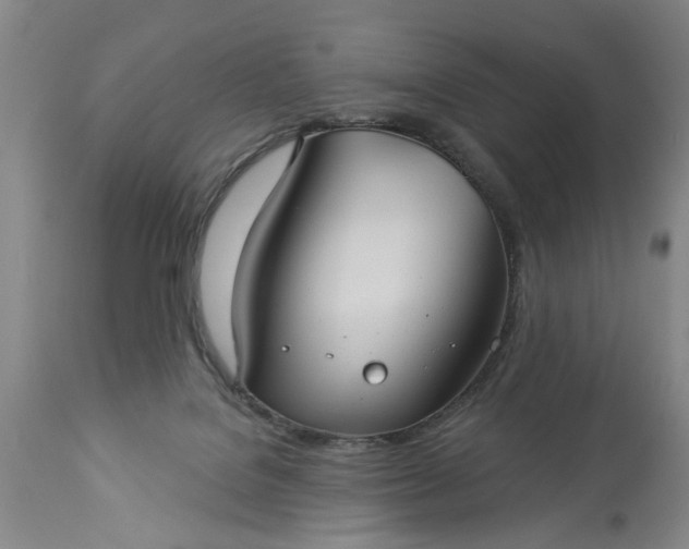 X0000113550076200910021540