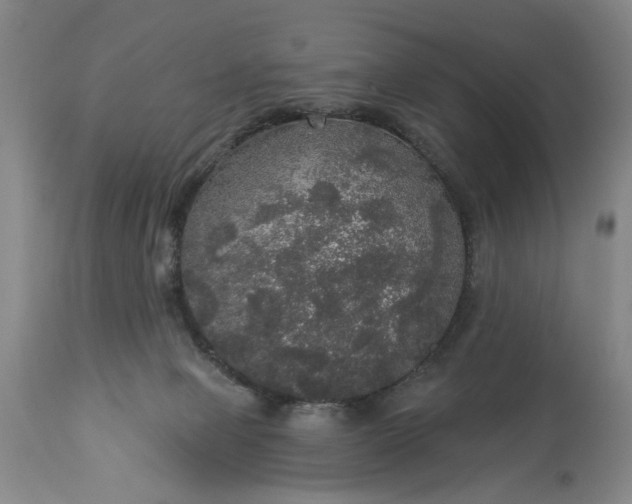 X0000113550077200910021540