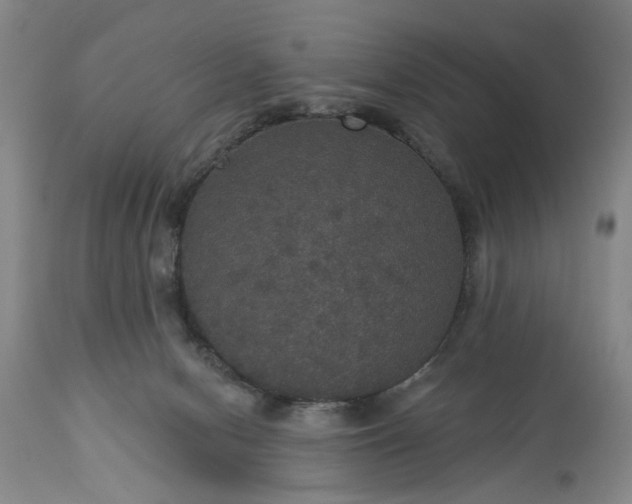 X0000113550078200910021540