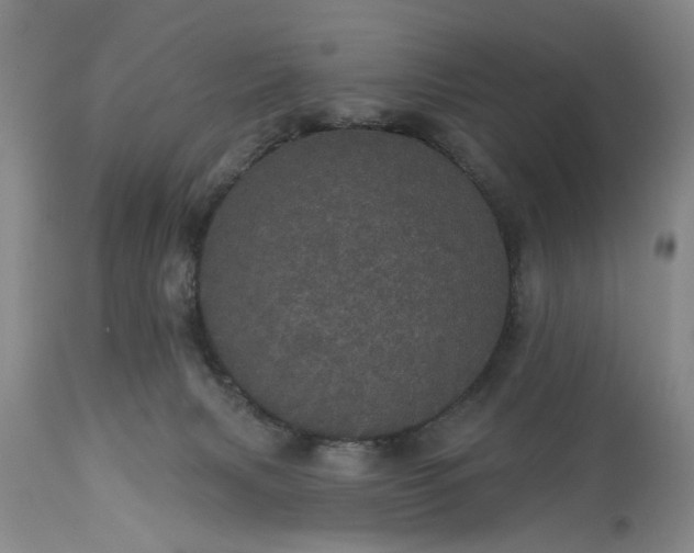 X0000113550079200910021540