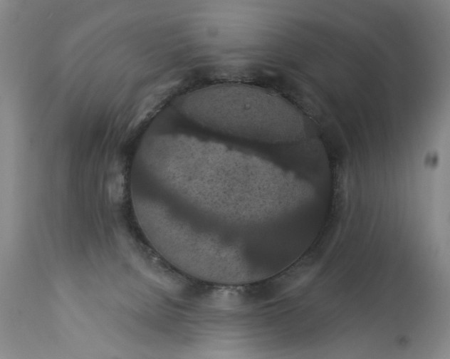 X0000113550080200910021540