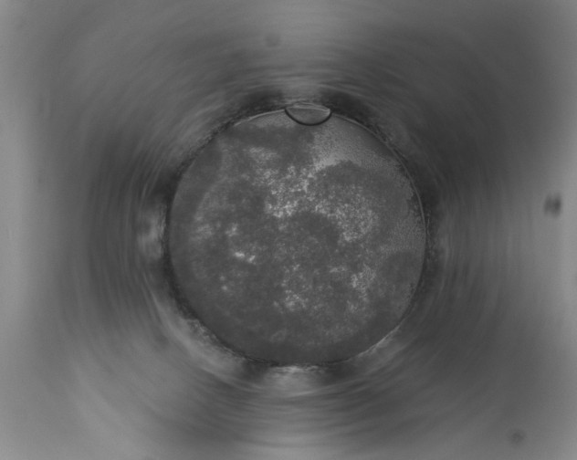 X0000113550082200910021540