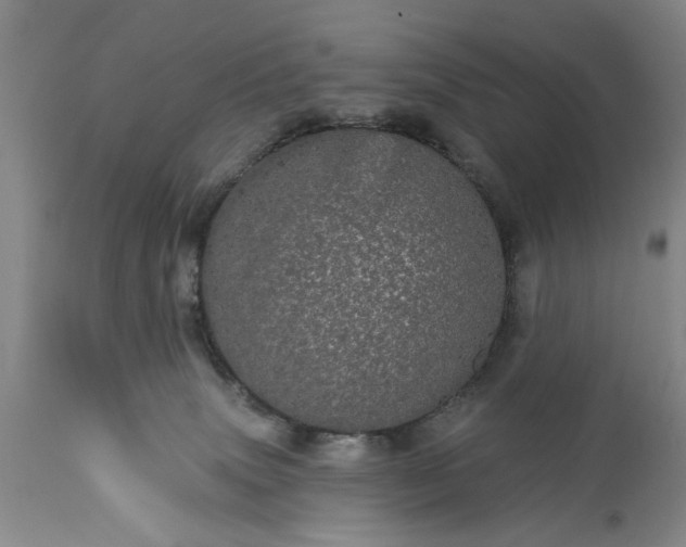 X0000113550083200910021540