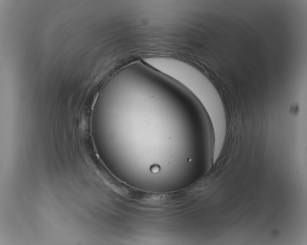 X0000113550084200910021540