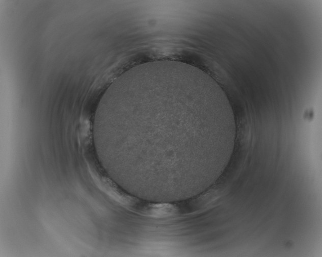 X0000113550087200910021540