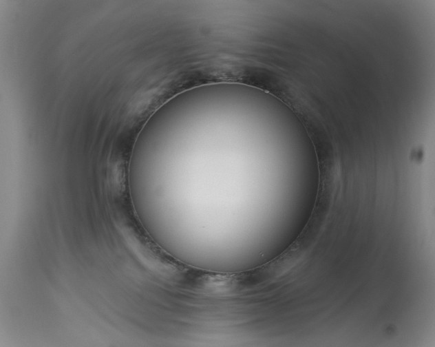 X0000113550088200910021540