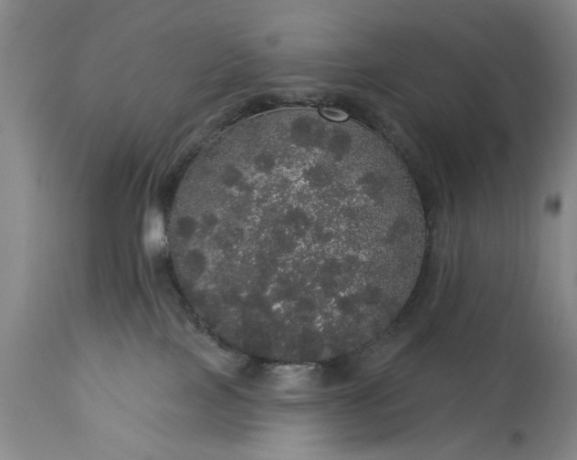 X0000113550089200910021540