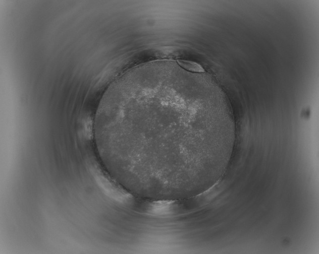 X0000113550090200910021540