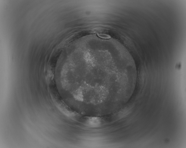 X0000113550091200910021540