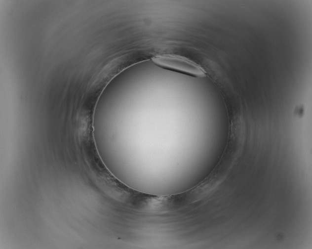 X0000113550092200910021540