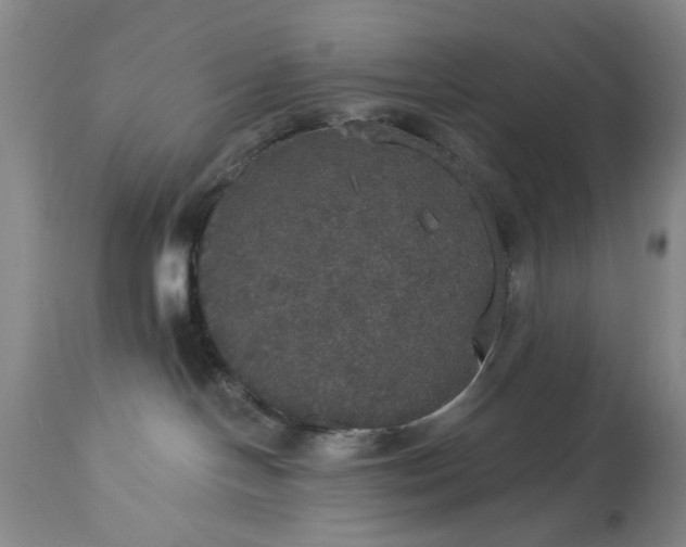 X0000113550094200910021541