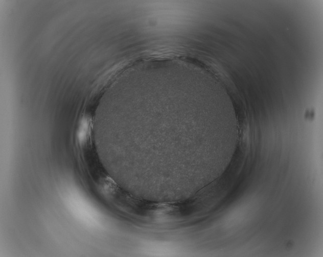 X0000113550095200910021541