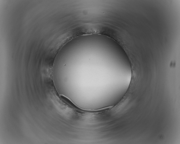 X0000113550096200910021541