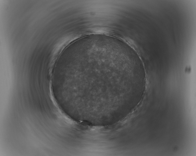 X0000113550097200910021540