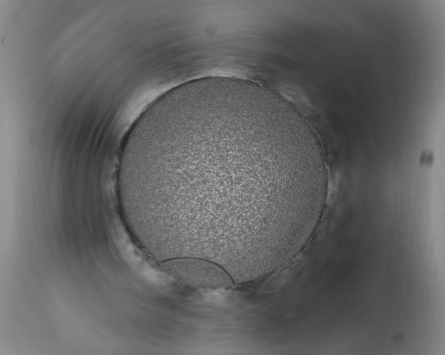 X0000113550098200910021540