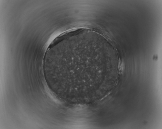 X0000113550099200910021540