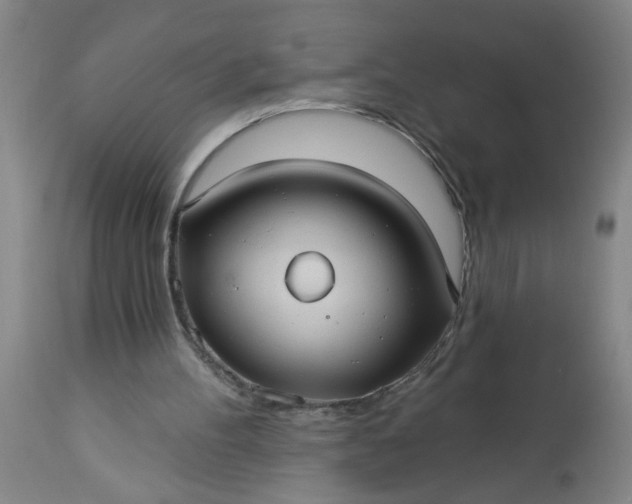 X0000113550100200910021540